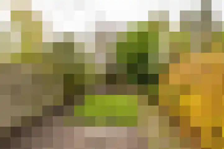 Galenuslaan 18 Groningen thumbnail 43