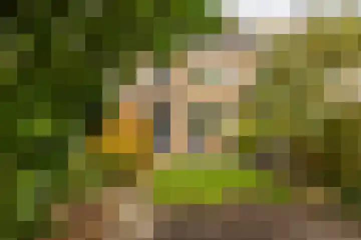 Galenuslaan 18 Groningen thumbnail 47