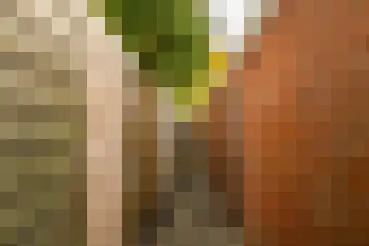 Galenuslaan 18 Groningen thumbnail 48