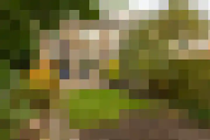 Galenuslaan 18 Groningen thumbnail 49