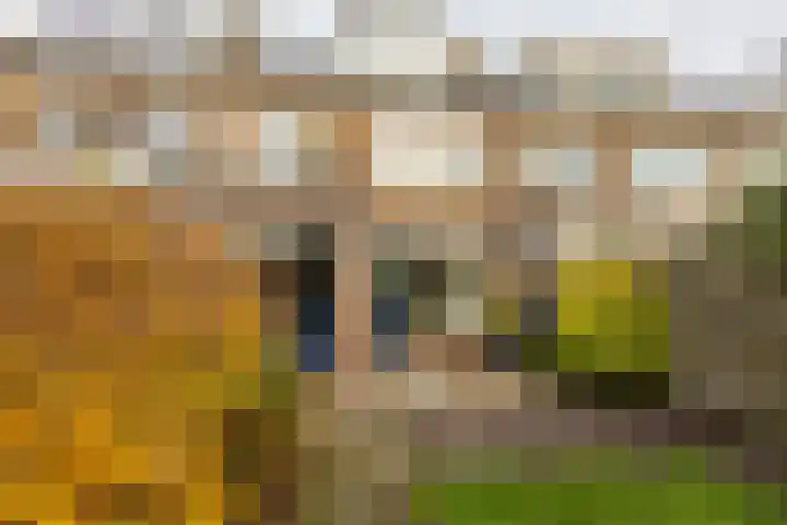 Galenuslaan 18 Groningen thumbnail 50