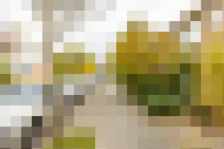 Galenuslaan 18 Groningen thumbnail 53