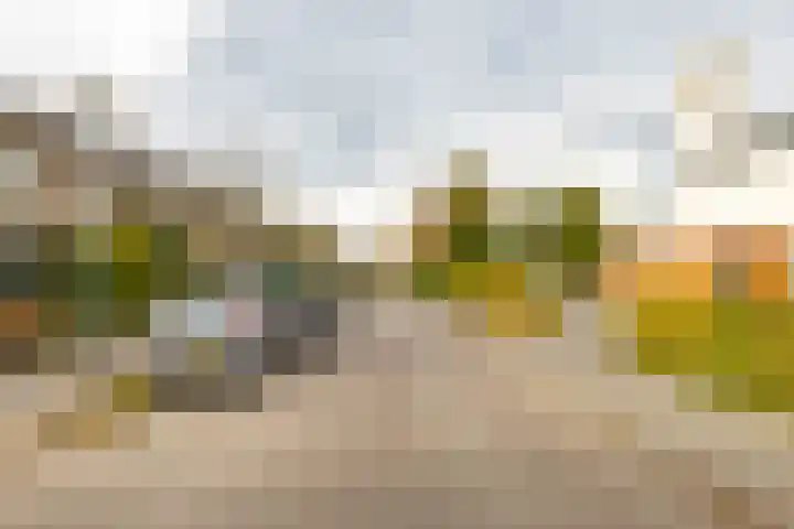 Galenuslaan 18 Groningen thumbnail 54