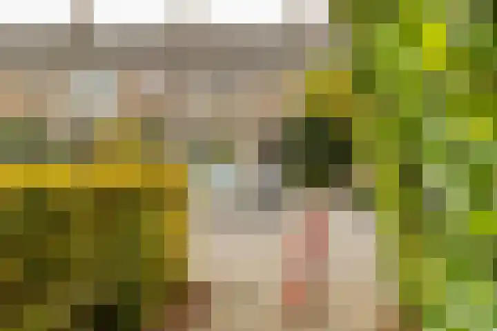 Galenuslaan 18 Groningen thumbnail 55