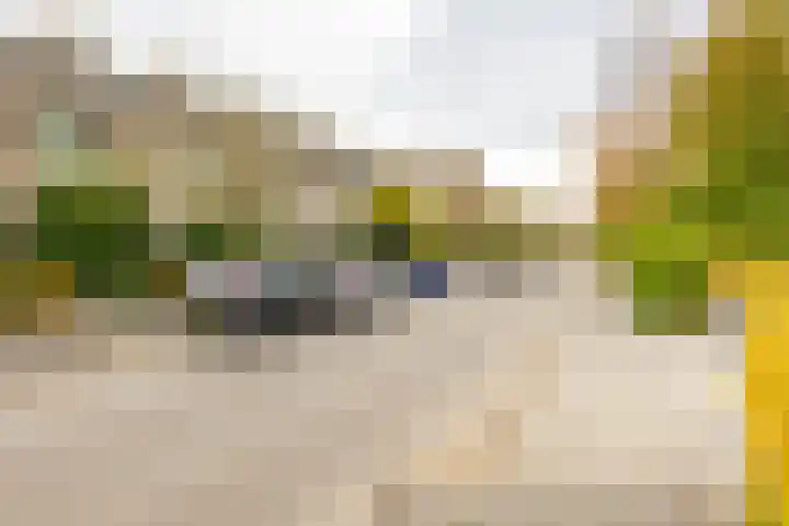 Galenuslaan 18 Groningen thumbnail 6