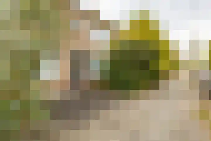 Galenuslaan 18 Groningen thumbnail 7