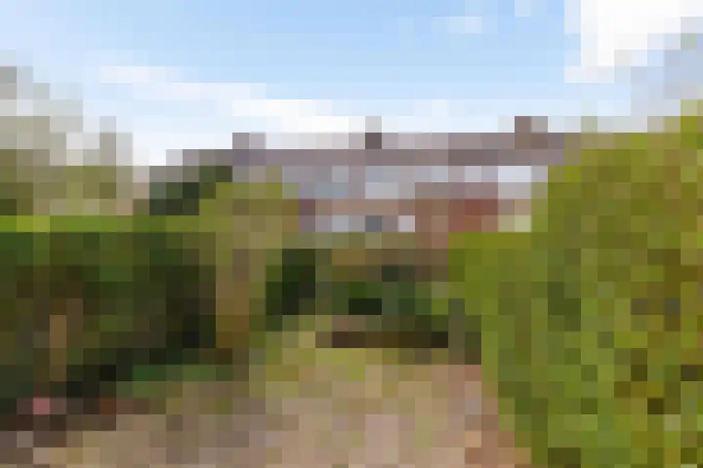 Galenuslaan 38 Groningen thumbnail 4