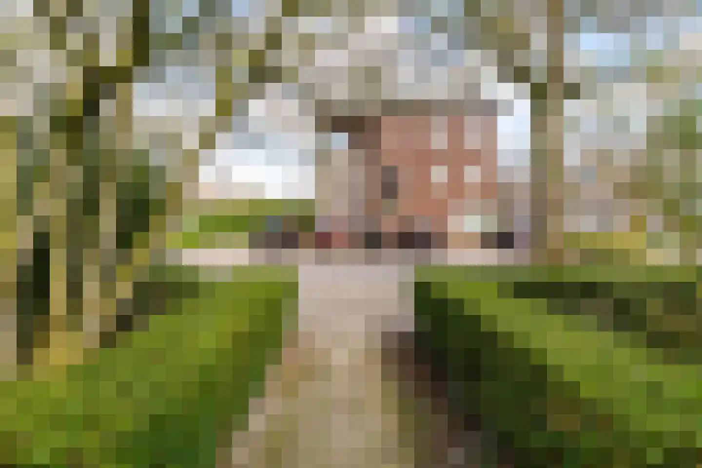 Galenuslaan 38 Groningen thumbnail 6