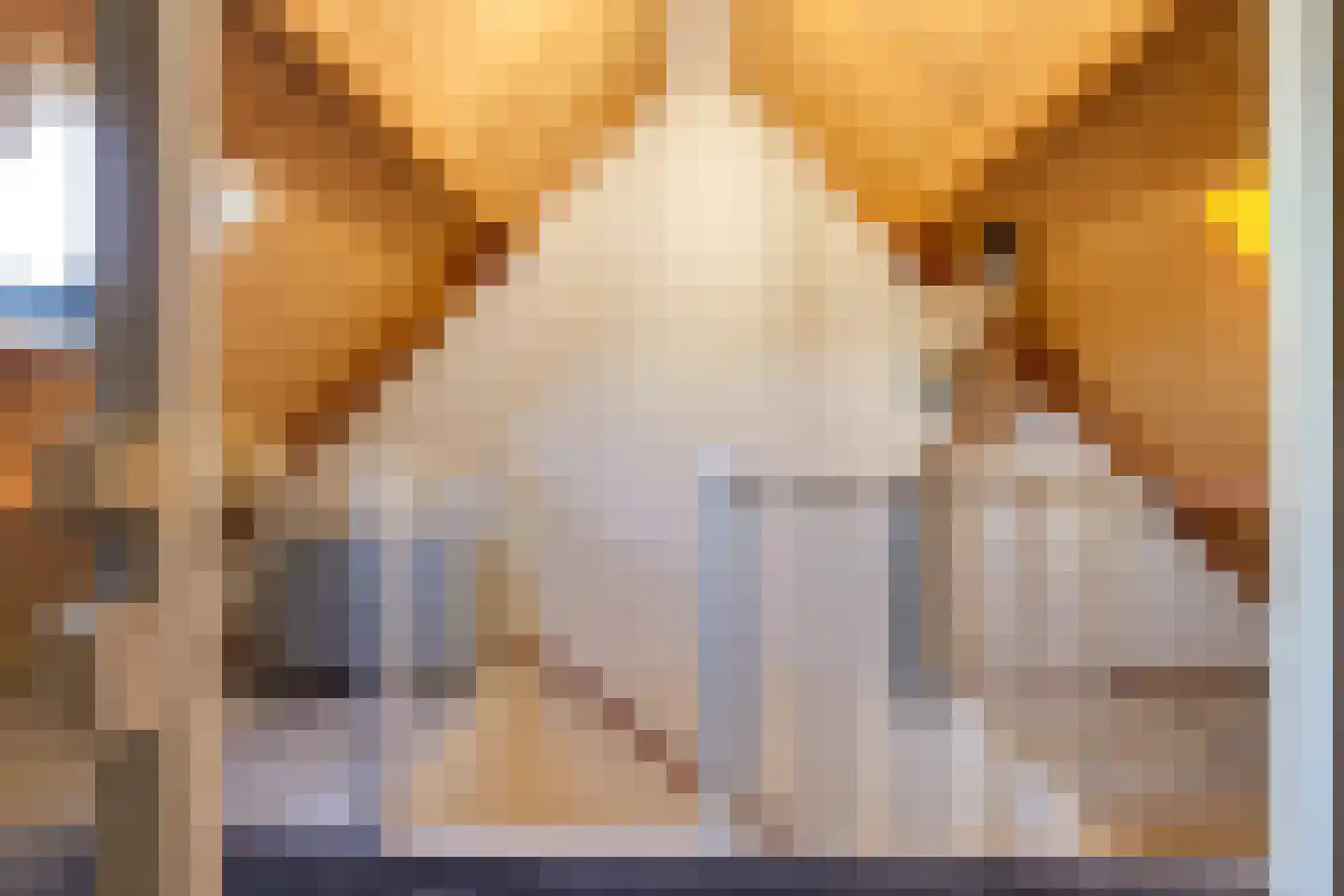 Galerij 10 Blokker thumbnail 29