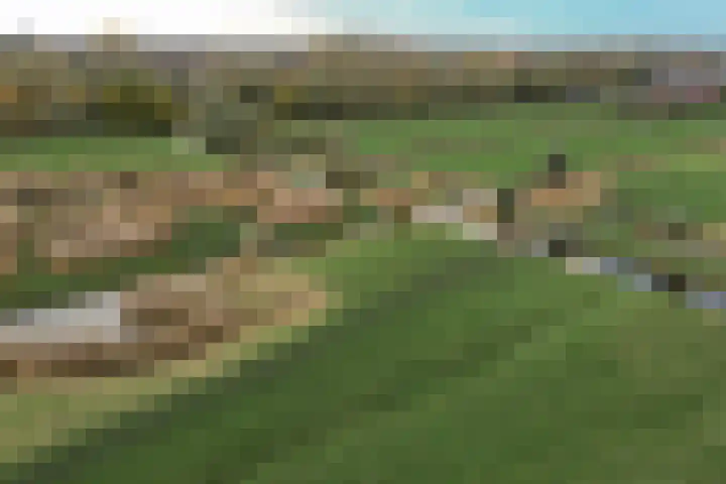 Galerij 10 Blokker thumbnail 37