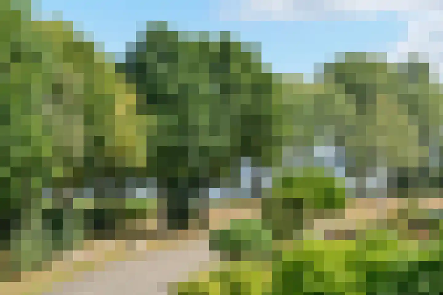 Galerij 11 Naarden thumbnail 31
