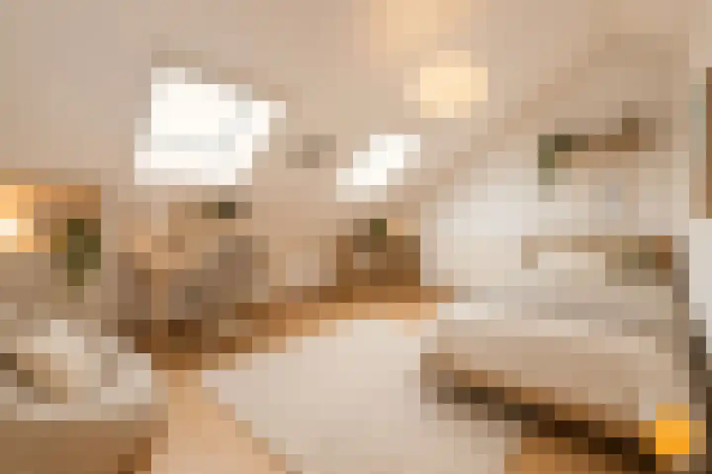 Galerij 11 Naarden thumbnail 45