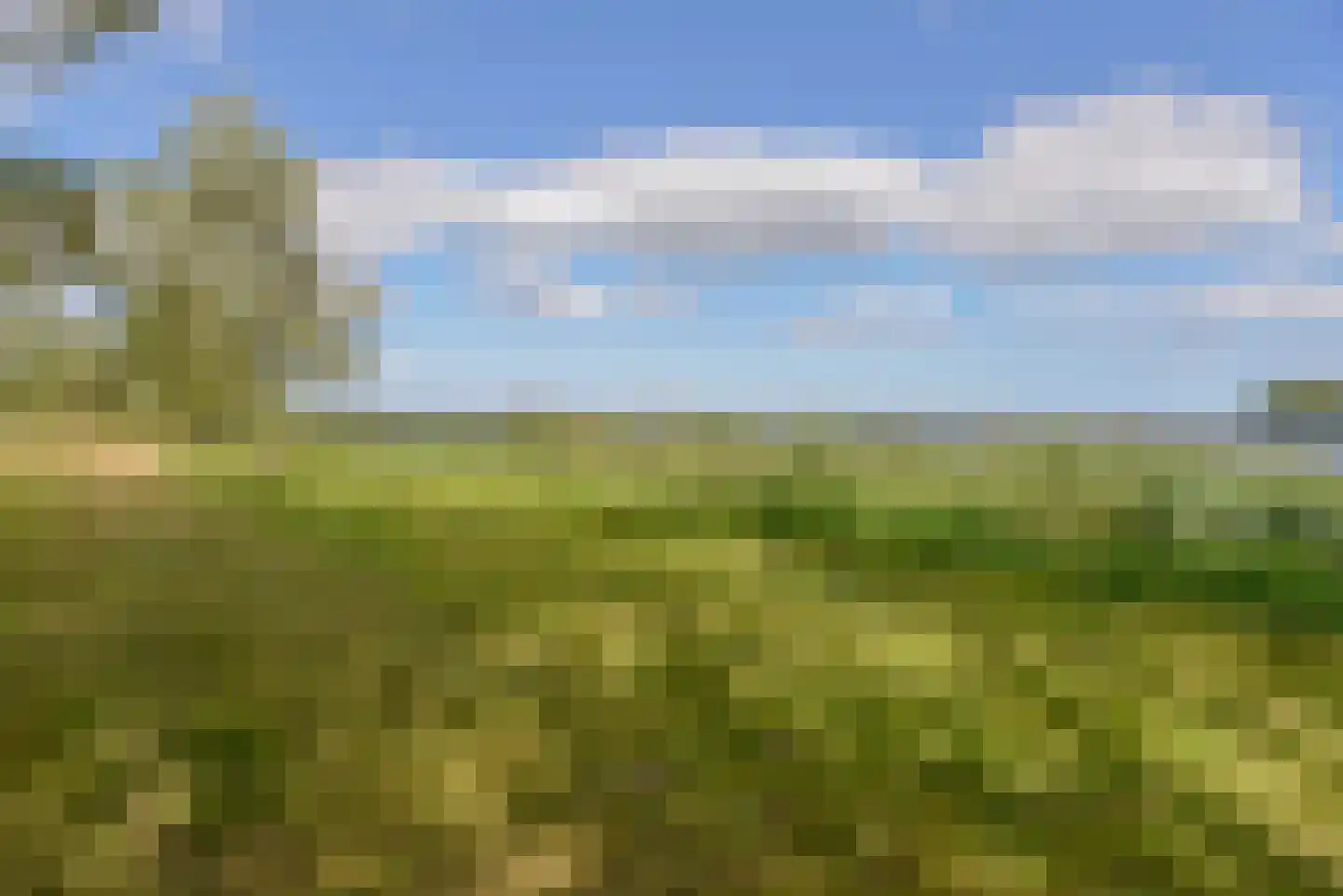 Galerij 11 Naarden thumbnail 51