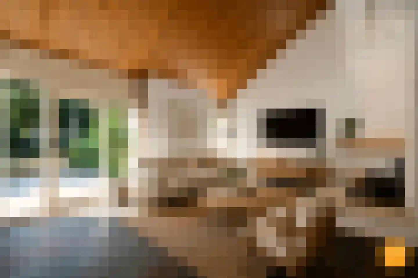 Galerij 11 Naarden thumbnail 6
