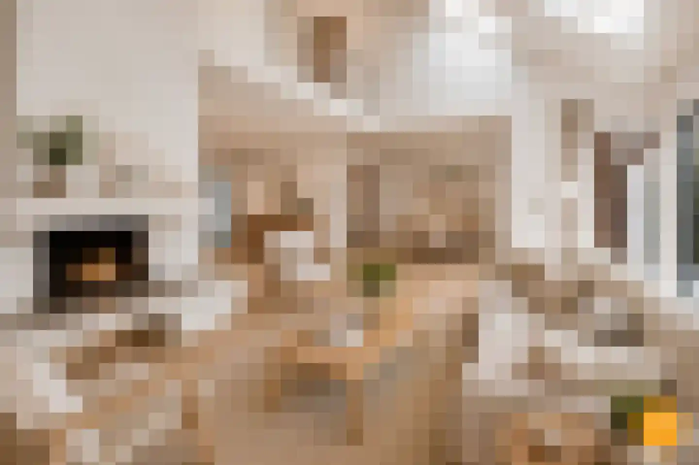 Galerij 11 Naarden thumbnail 8