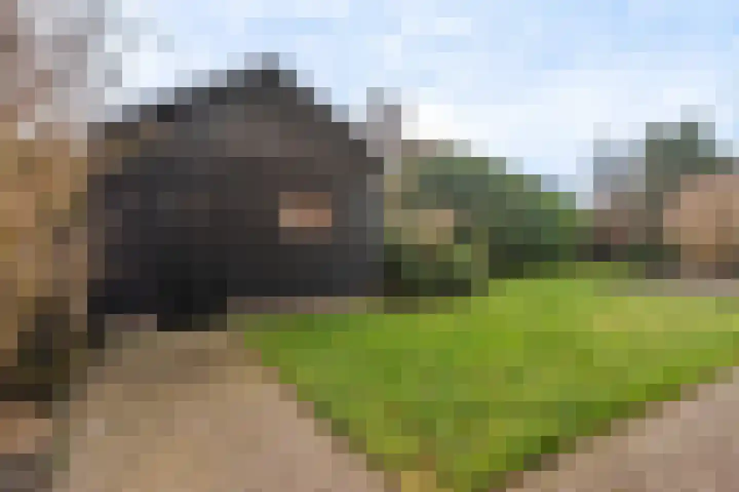 Galerij 17 Winschoten thumbnail 38