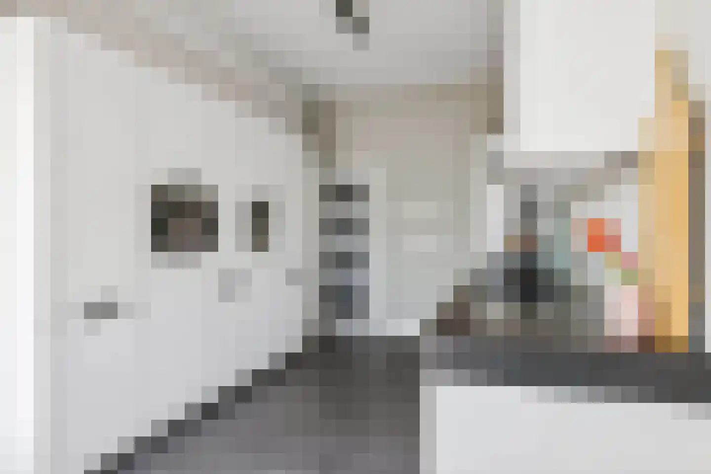 Galerij 20 A Uden thumbnail 17