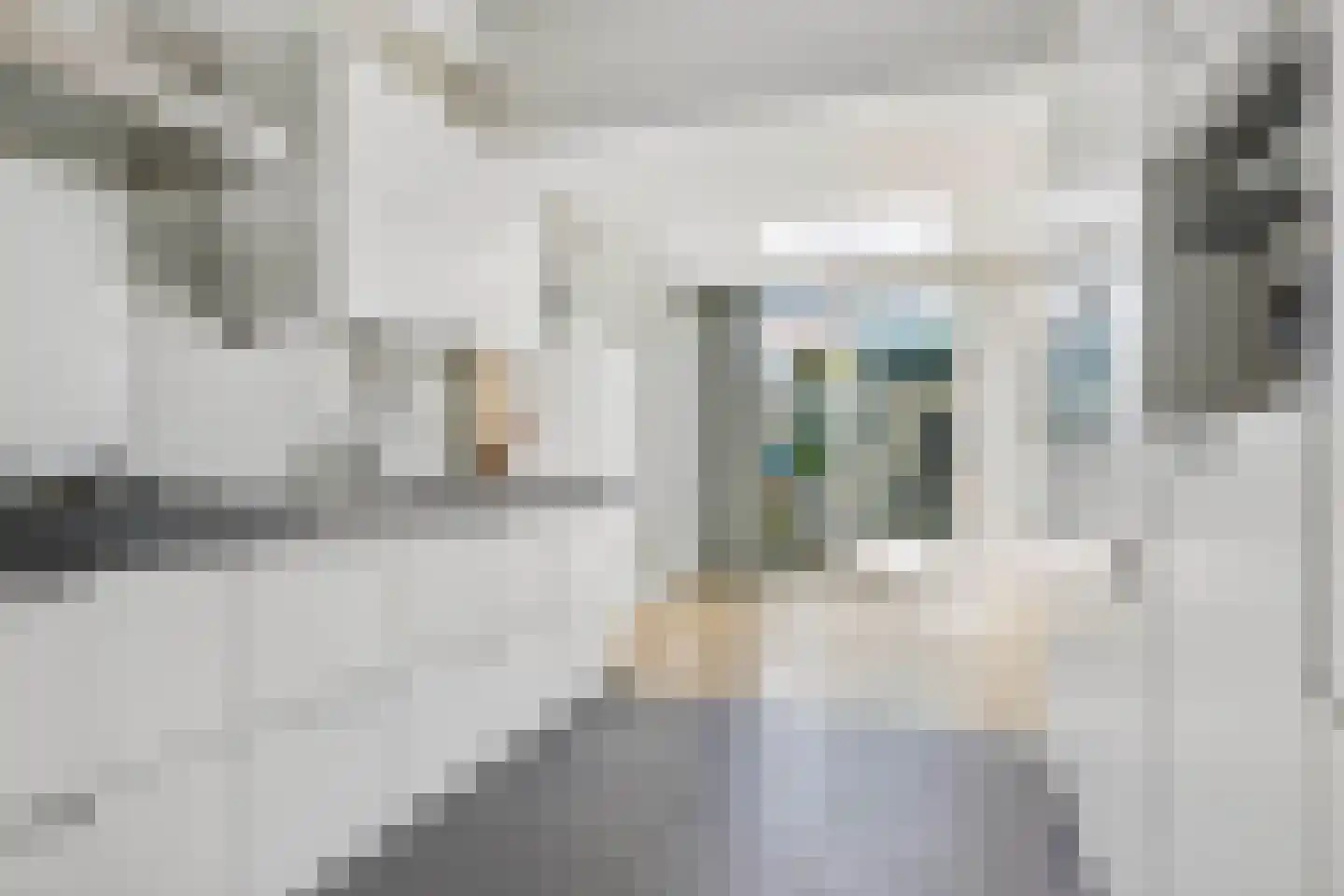 Galerij 20 A Uden thumbnail 18