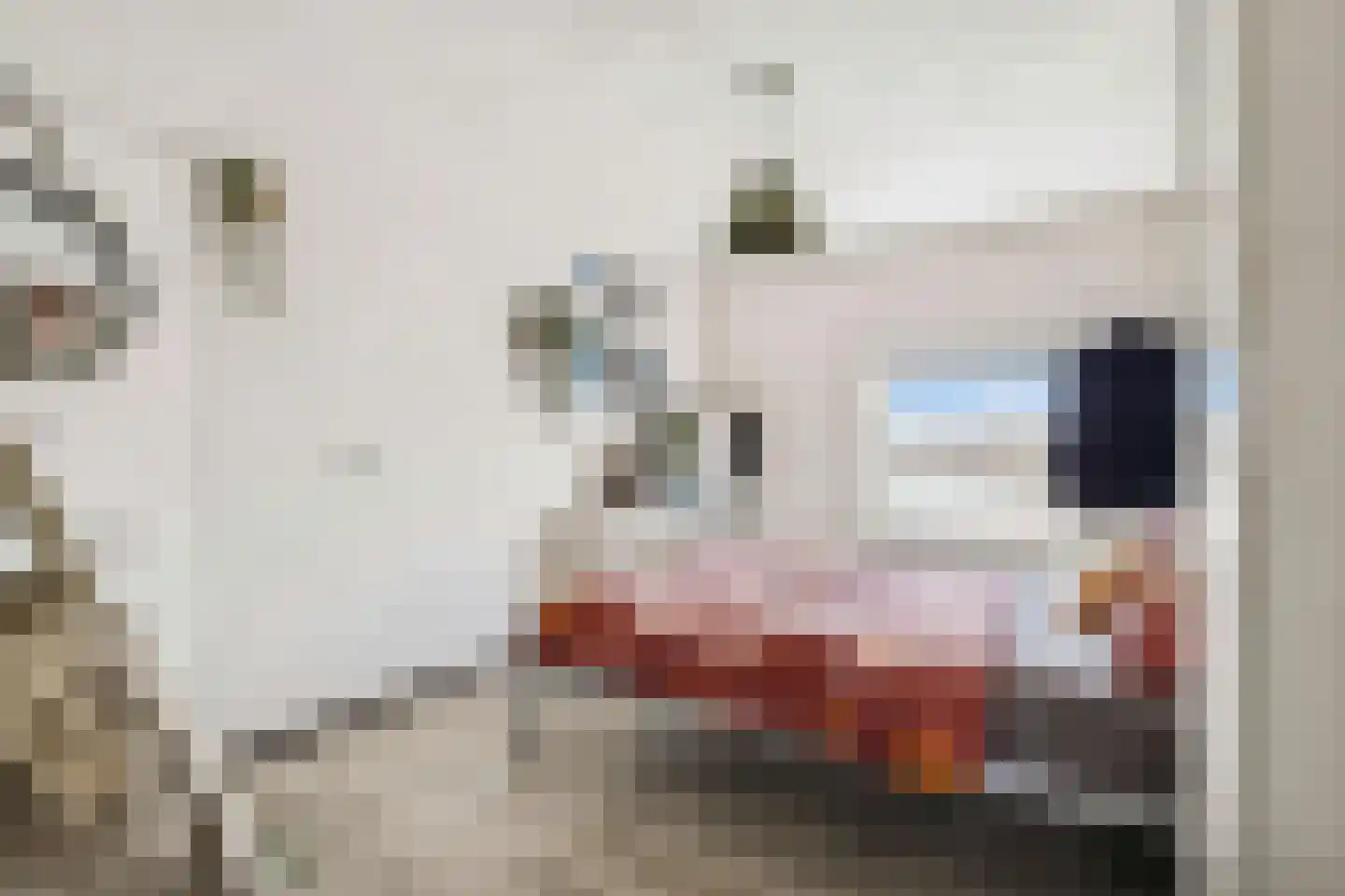 Galerij 20 A Uden thumbnail 22