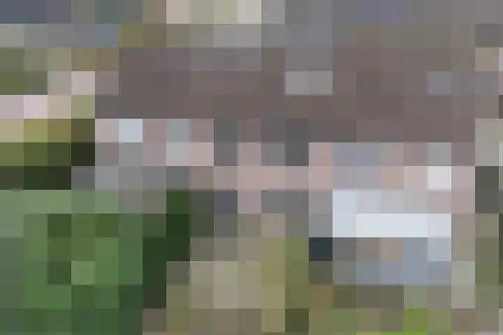 Galerij 23 Beuningen Gld thumbnail 36