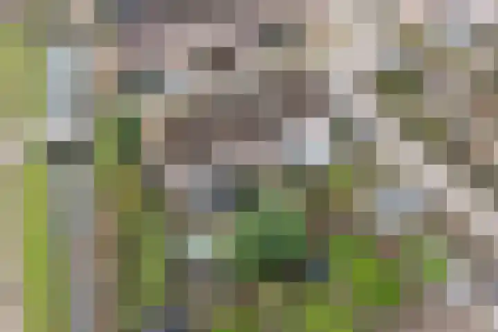 Galerij 23 Beuningen Gld thumbnail 37