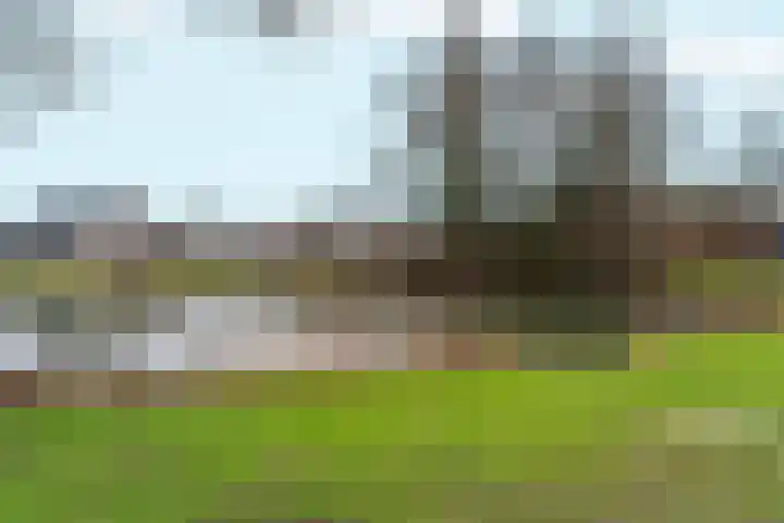 Galerij 23 Beuningen Gld thumbnail 39