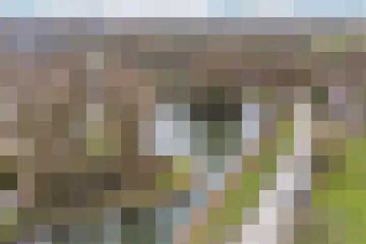 Galerij 23 Beuningen Gld thumbnail 40