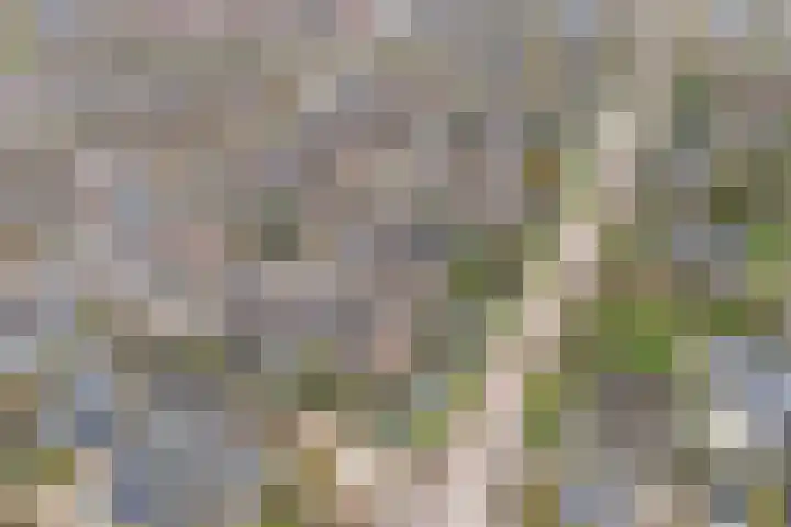 Galerij 23 Beuningen Gld thumbnail 41