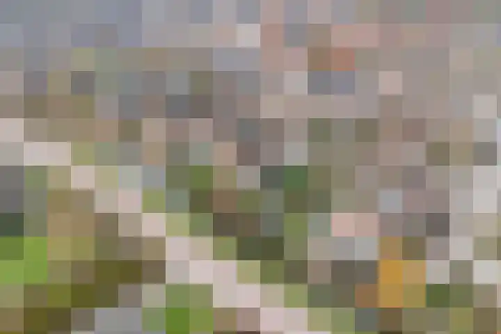Galerij 23 Beuningen Gld thumbnail 42