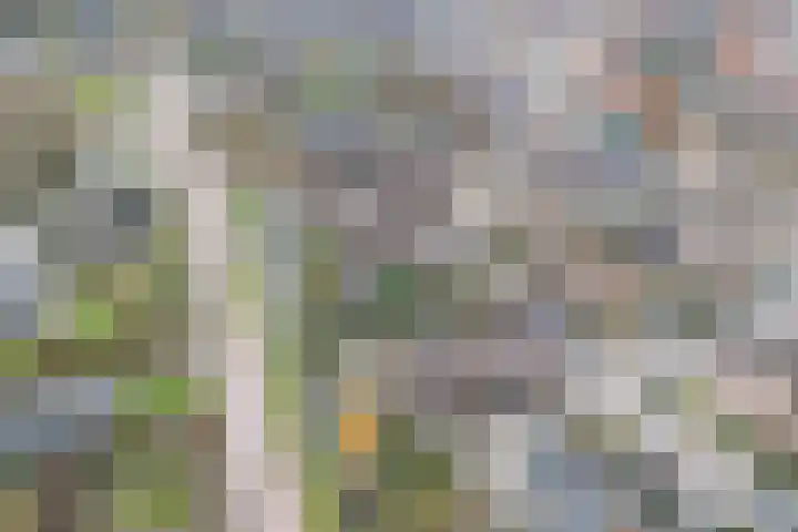 Galerij 23 Beuningen Gld thumbnail 43