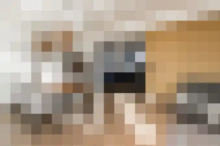 Galerij 41 A Uden thumbnail 13