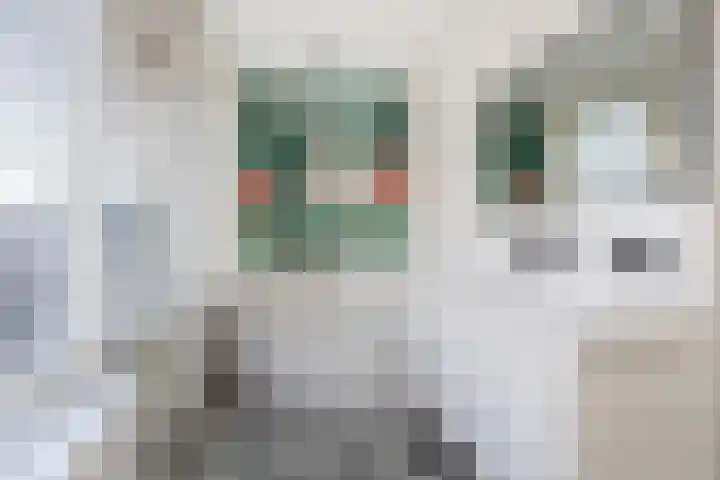 Galerij 41 A Uden thumbnail 28