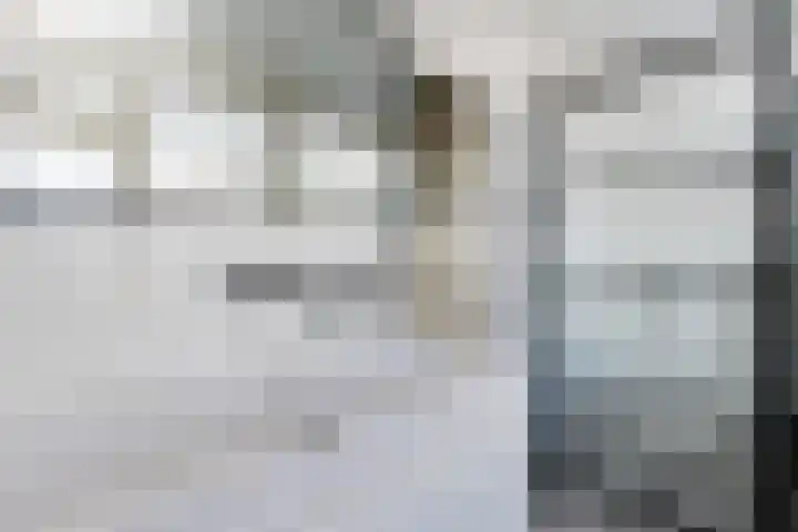 Galerij 41 A Uden thumbnail 31