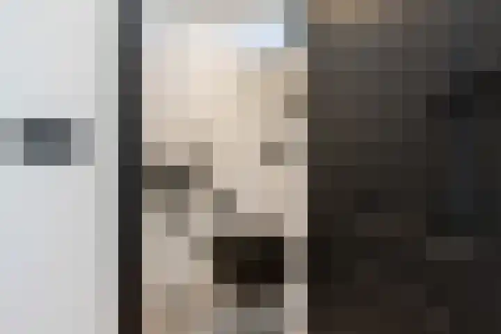 Galerij 41 A Uden thumbnail 4