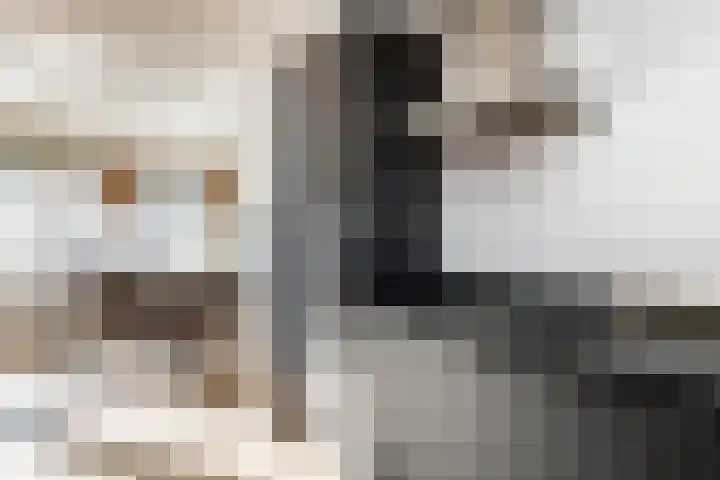 Galerij 41 A Uden thumbnail 8