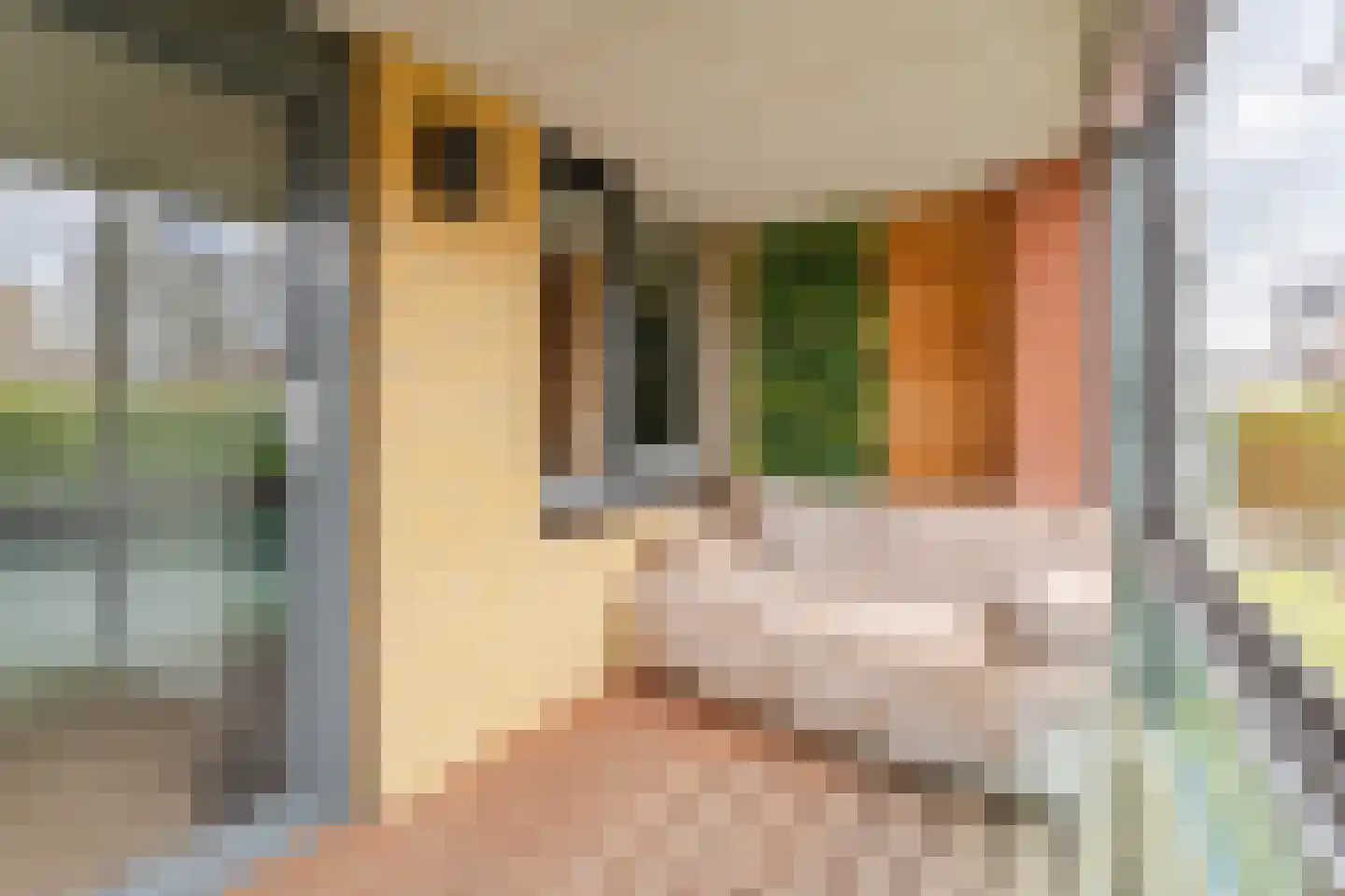 Galerij 68 Boskoop thumbnail 11