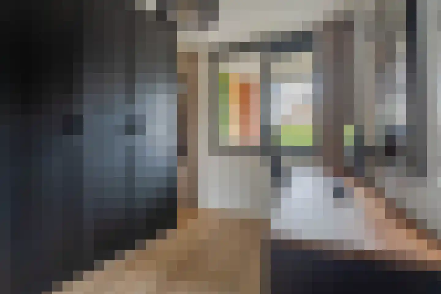 Galerij 68 Boskoop thumbnail 12