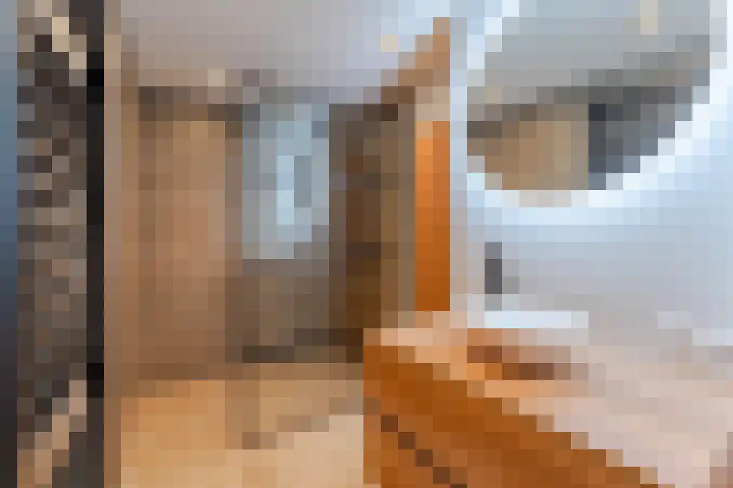 Galerij 68 Boskoop thumbnail 14