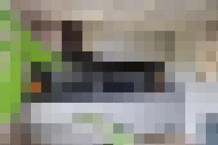Galerij 9 Beuningen Gld thumbnail 14