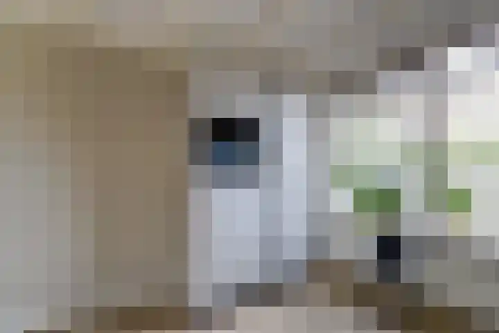 Galerij 9 Beuningen Gld thumbnail 16