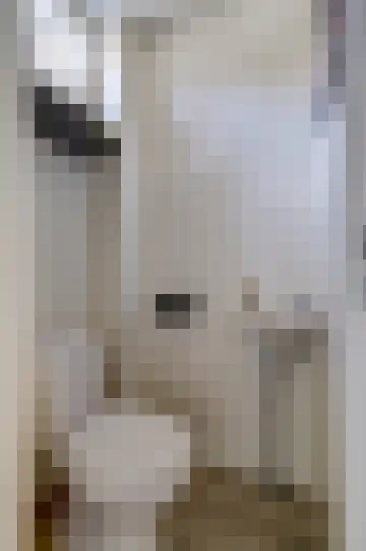 Galerij 9 Beuningen Gld thumbnail 20