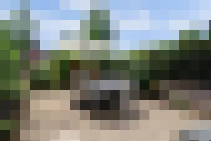 Galerij 9 Beuningen Gld thumbnail 41