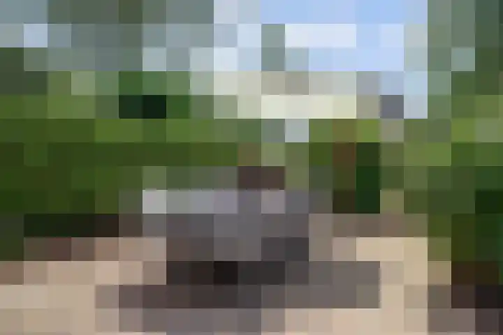 Galerij 9 Beuningen Gld thumbnail 42