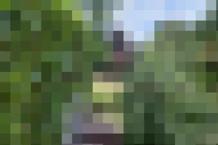 Galerij 9 Beuningen Gld thumbnail 44