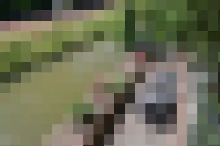 Galerij 9 Beuningen Gld thumbnail 45