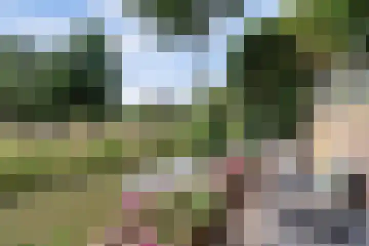 Galerij 9 Beuningen Gld thumbnail 46