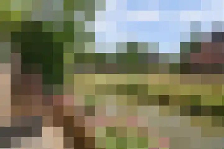 Galerij 9 Beuningen Gld thumbnail 47