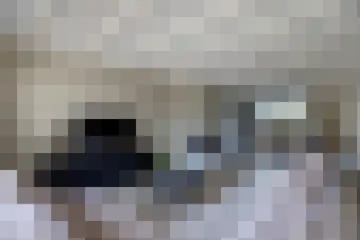 Galerij 9 Beuningen Gld thumbnail 8