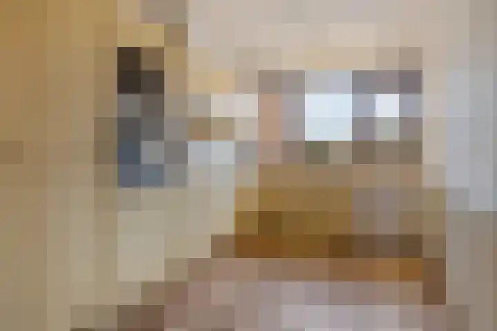 Galerij 9 Naarden thumbnail 17
