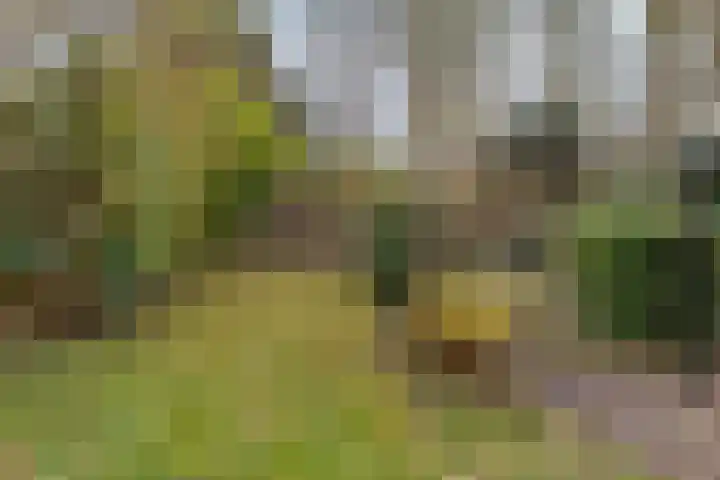 Galerij 9 Naarden thumbnail 36